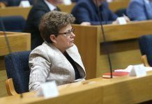 Stevanović: Nešić nije birao, pa neće ni smjenjivati Čubrilovića