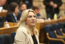 Cvijanović: Program reformi nije ANP
