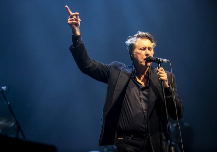 brajn feri