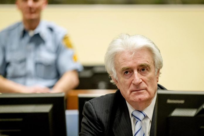 radovan karadzic 2
