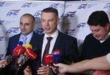 DNS dobija predsjednika 15. marta
