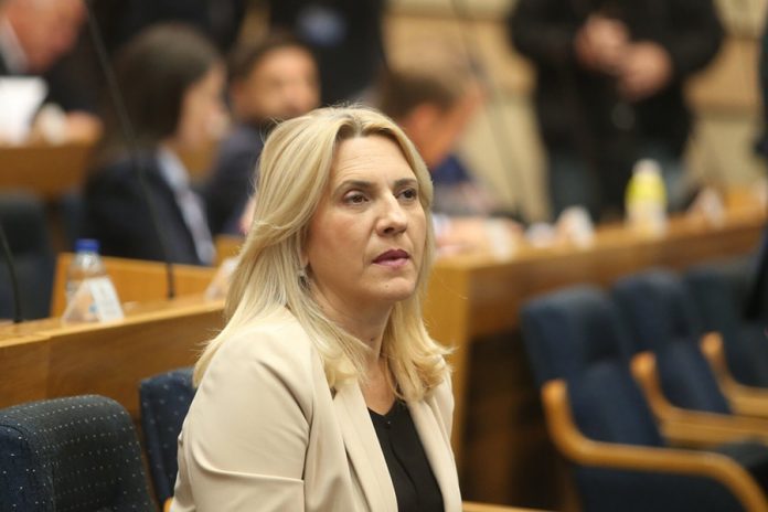 Zeljka-Cvijanovic-NSRS