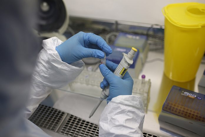 Institut-Torlak_korona-virus_2