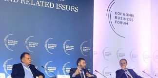 Košarac: I u CEFTA insistirati na balansu zastupljenosti entiteta