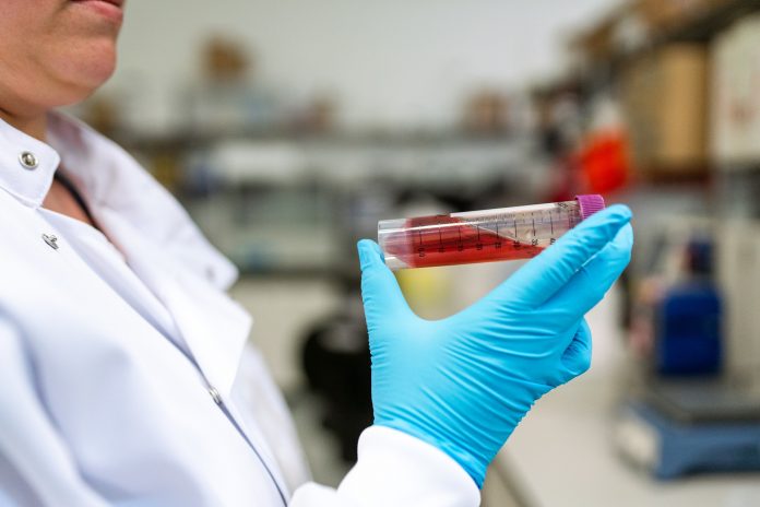 Laboratorija 14