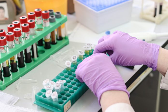 Laboratorija 6