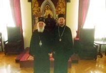 Patrijarh srpski razgovarao sa vladikom Dimitrijem