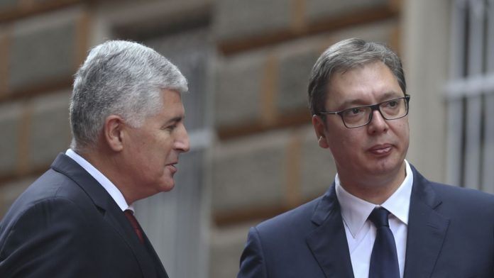 covic Vucic