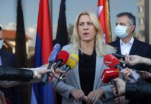Cvijanović o odluci DNS-a: Ne može vam niko razvaliti partiju, ako vi znate njom da upravljate
