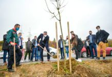Hiljadu sadnica za ljepšu Banjaluku: Zasađene dvije nove aleje na Paprikovcu