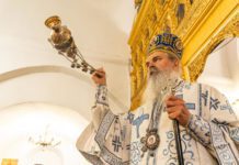 Episkop Teodosije: Zavjet patrijarha Irineja – nikada se ne smijemo odreći Kosova i Metohije