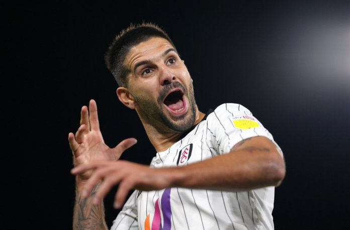 Mitrovic Fulam 2