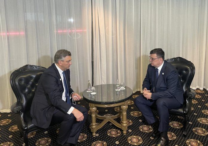Tegeltija Plenković
