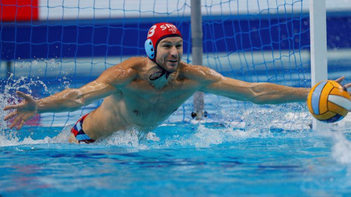 Branislav Mitrović
