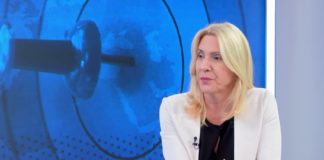 Cvijanović: Konzistentne politike Srbije i Republike Srpske