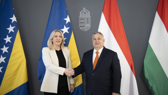 Cvijanović i Orban M1