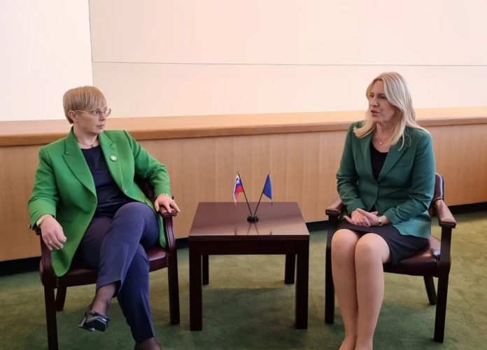 Pirc Musar Cvijanovic