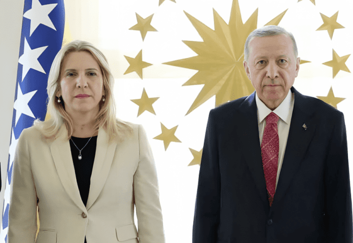 Cvijanovic Erdogan 1