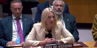 Cvijanović: BiH mora da bude u rukama Ustava i njenih građana, a ne neizabranih stranaca