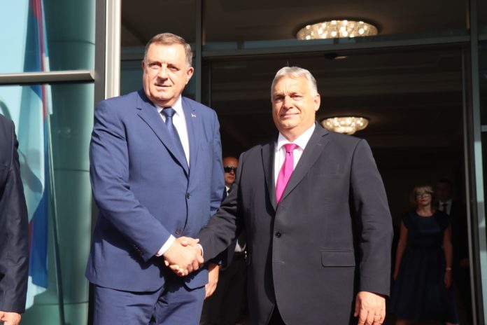 Dodik Orban ispred Vlade 1
