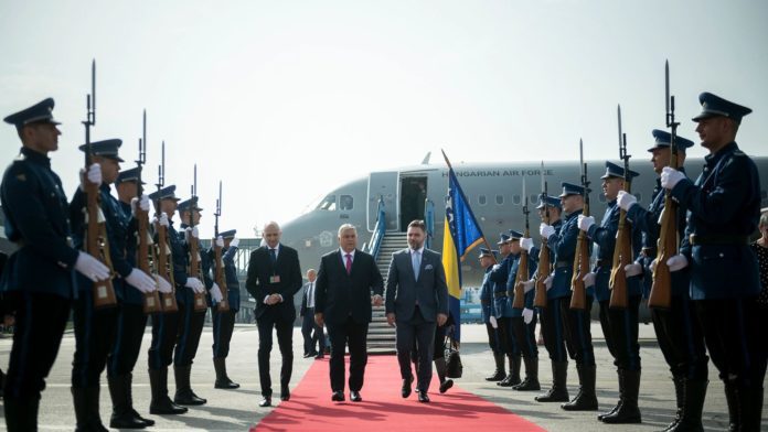Kosarac Orban SA3