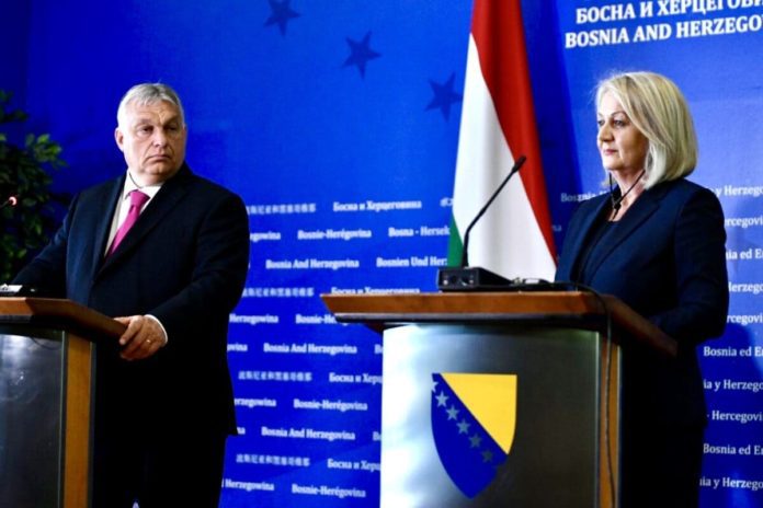 Orban Kristo 7
