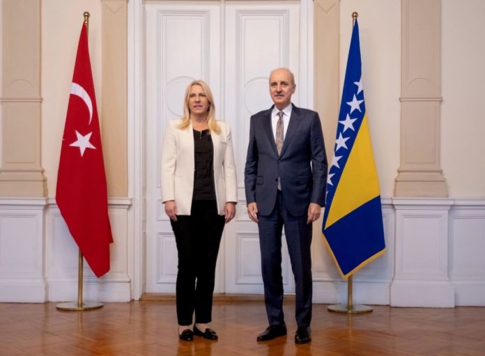 Cvijanovic Kurtulmuš 2