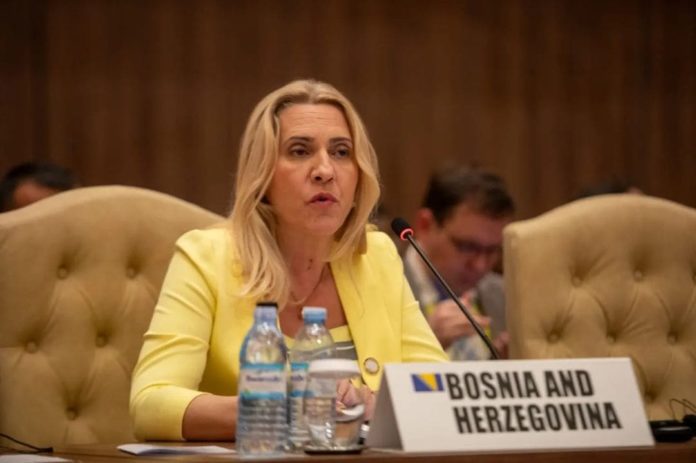 Cvijanovićeva na Samitu Pokreta nesvrstanih 10