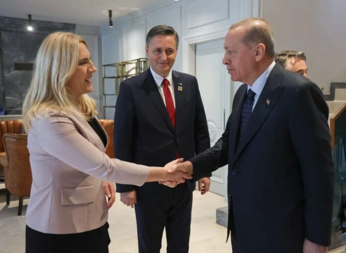 Cvijanović sa Erdoganom
