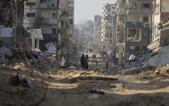 Gaza rat