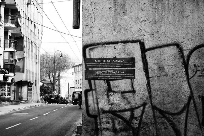 Dobrovoljačka ulica