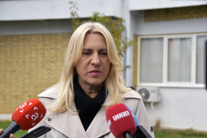 Cvijanović glasanje LI 1