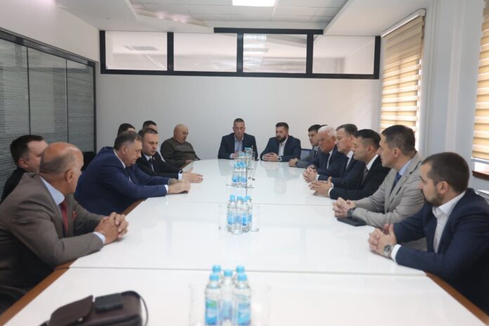 Dodik Stanisic