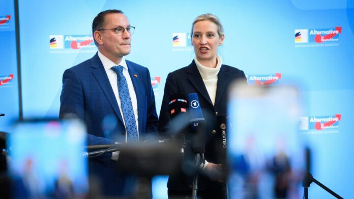 AfD lideri