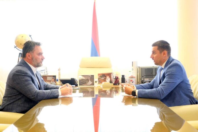 Kosarac Sulic