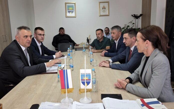 Minic Tesic Pelagicevo