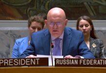 Nebenzja: Izvještaj Vlade Republike Ssrpske objektivan i ukazuje na stvarne razloge krize