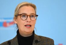 Vajdelova pozvala na obnovu nabavke energenata iz Rusije