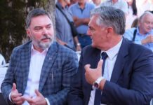 Košarac: Predstojeći izbori su nametnuti – pobijediće Srpska