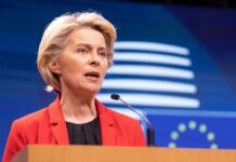 Fon der Lajen o pljenidbi zamrznute ruske imovine: Sve članice EU treba da dijele rizik