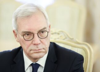 Gruško: Evropska unija će zažaliti zbog odbijanja ruskog gasa