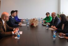 Amidžić sa Ginkelom: Makroekonomska stabilnost BiH ključna za američke investicije