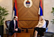 Cvijanovićeva sa Divaldom: Austrija jedan od najznačajnijih privrednih partnera