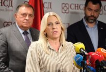 Cvijanović: Dugoročnim planovima borimo se protiv štete koju BiH nanosi Republici Srpskoj