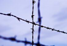 Prije 85 godina zatvoren ustaški kompleks logora smrti Gospić-Jadovno-Pag