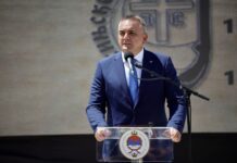 Minić: Srbi moraju imati državnu zajednicu koja ih štiti od uništenja
