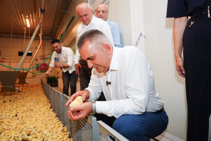 Minić otvorio novi proizvodni objekat za tov pilića
