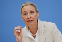 Videl: U bankrotu smo zbog neodgovorne finansijske politike