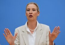 Vajdel: Pobjeda AfD-a kraj koalicije Fridriha Merca