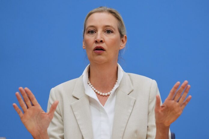 Alis Vajdel 5